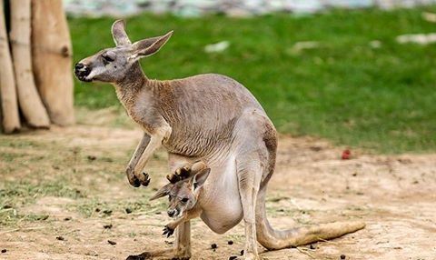 media.news.imagealternatetextformat.details