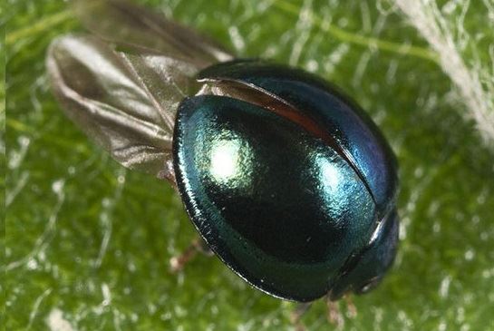 media.news.imagealternatetextformat.details