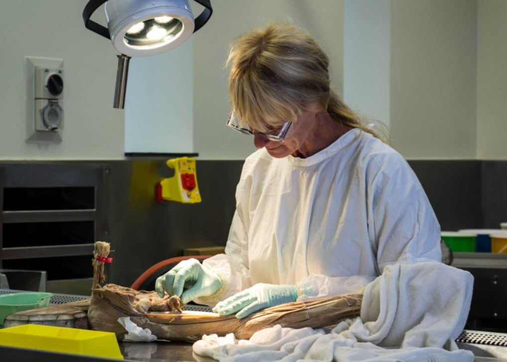 media.news.imagealternatetextformat.details