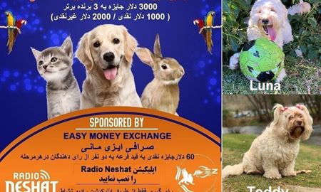 آغاز سری پنجم رای گیری/ Luna و Teddy در مرحله چهارم رای گیری به فینال دومین دوره مسابقه عکس حیوانات خانگی رادیو نشاط راه پیدا کردند.