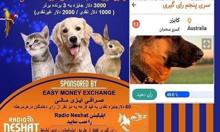 آغاز سری ششم رای گیری/ کایزر در مرحله پنجم رای گیری به فینال دومین دوره مسابقه عکس حیوانات خانگی رادیو نشاط راه پیدا کرد.