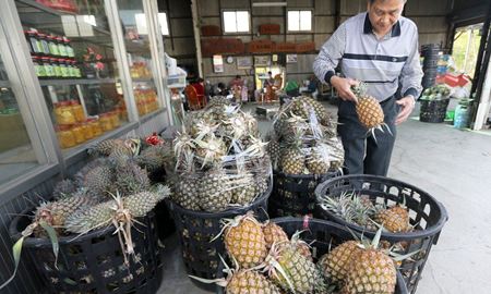 دعوای چین و تایوان به آناناس رسید