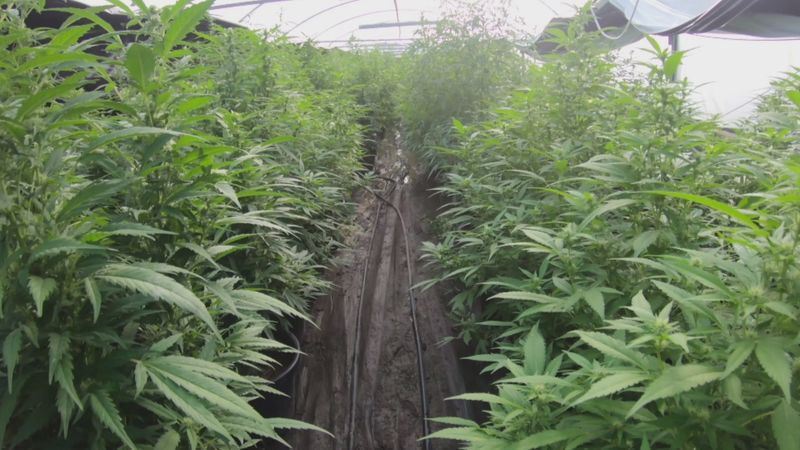 media.news.imagealternatetextformat.details