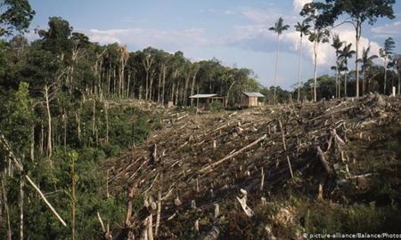 درخواست 10 میلیاردی برزیل برای جلوگیری از نابودی آمازون