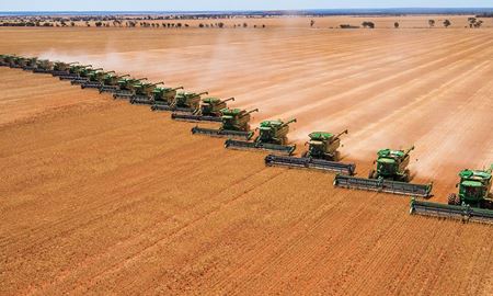 استرالیا،  کمبود جهانی گندم را جبران می‌کند؟