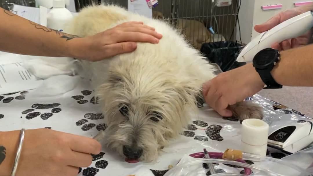 media.news.imagealternatetextformat.details