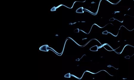 تکنیک تازه دانشمندان استرالیایی برای تسریع حرکت اسپرم‌های تنبل
