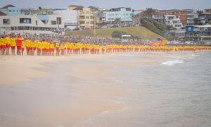 media.news.imagealternatetextformat.details