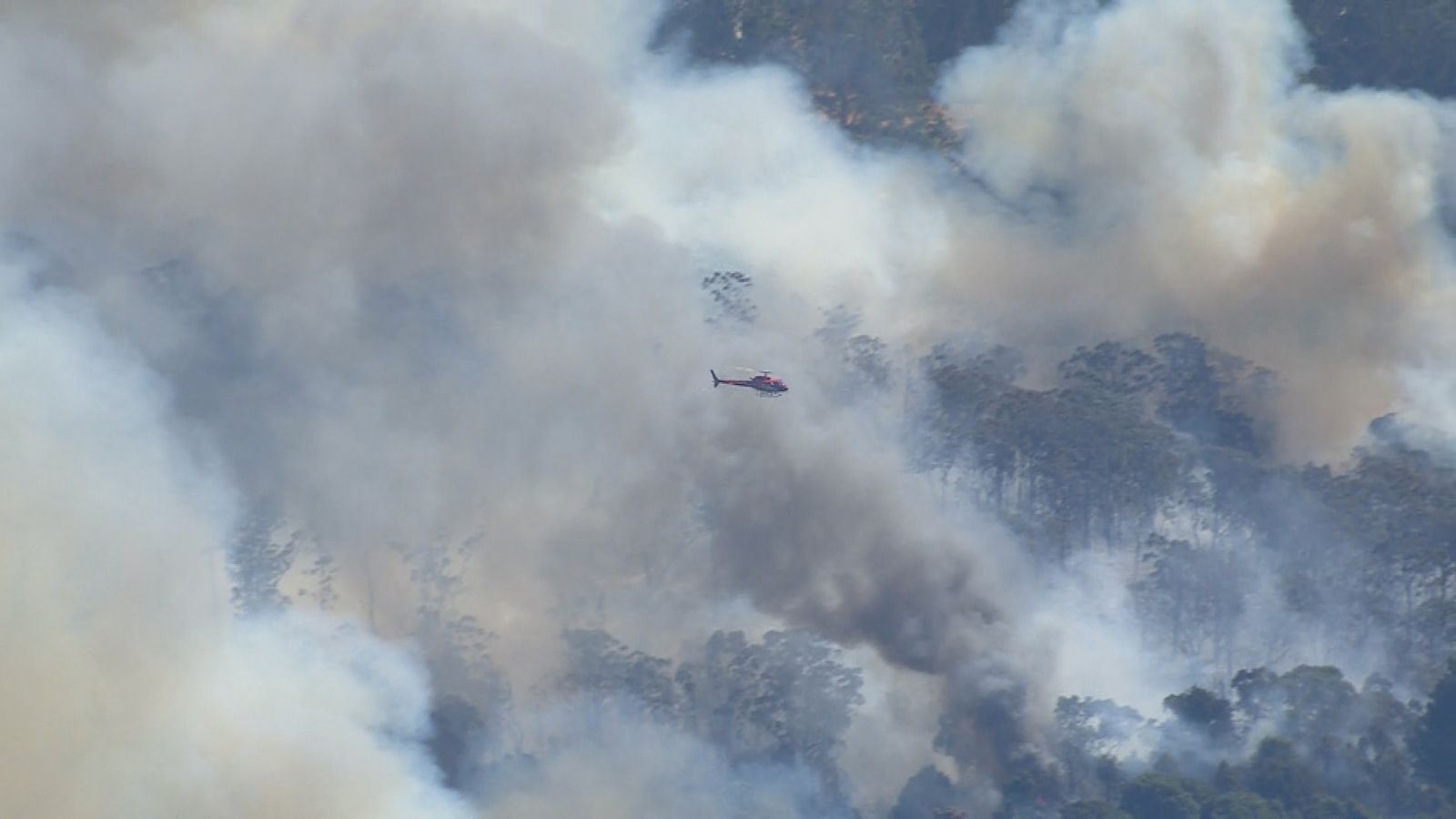 media.news.imagealternatetextformat.details