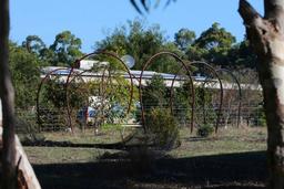  هفت نفر در حادثه تیراندازیِ استرالیای غربی جان خود را از دست دادند