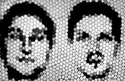 محققان استرالیا..."زنبورها می توانند چهره را تشخیص دهند"