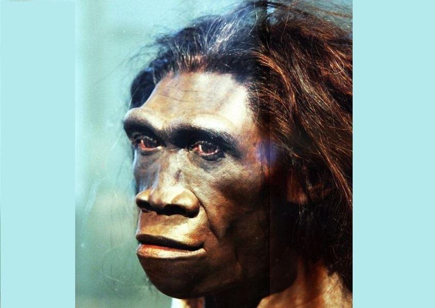 پژوهشگران دانشگاه ملی استرالیا می گویند : اجداد ما بخاطر تنبلی منقرض شده‌اند