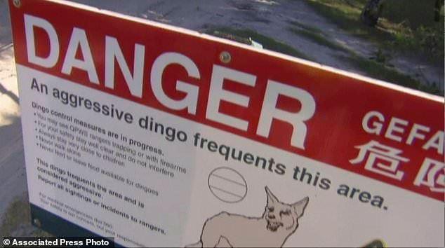 استرالیا/نجات کودک 14 ماهه از دهان سگ وحشی