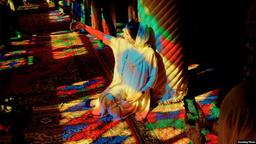  کتاب «از تبریز تا شیراز» توسط شهروند جوان استرالیایی منتشر شد