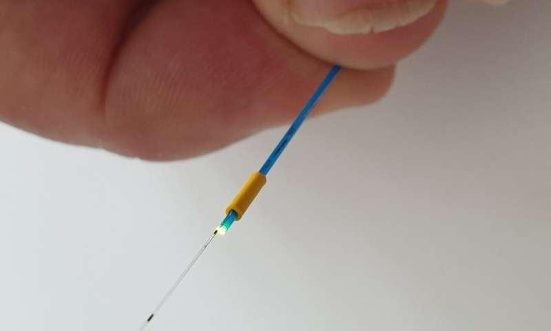 توسط محققان استرالیا ، نجات جان انسانها  با نظارت بر جریان خون