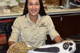 کشف فسیل ۹۶ میلیون ساله یک دایناسور در استرالیا