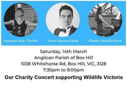 برگزاری کنسرت موسیقی در حمایت از حیوانات  آسیب دیده از آتش سوزی های جنگلهای اخیر ایالت ویکتوریا