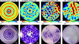 استفاده از باکتری‌ها برای ایجاد زیست ماده توسط فیزیکدانان استرالیا