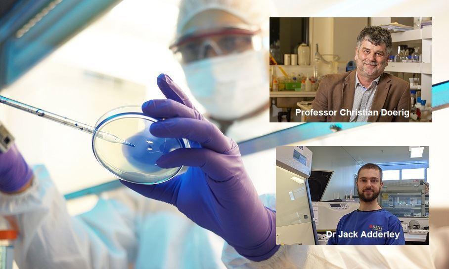 اخبار کروناویروس استرالیا/ کشف تازه درباره مالاریا و روزنه امید برای درمان کرونا،توسط محققان استرالیا