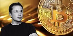 خیز بلند تسلا برای استفاده از ارزهای دیجیتالی