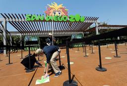 گوریل‌های آمریکایی واکسن کرونا دریافت کردند