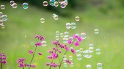 گرده‌افشانی گیاهان منجر به افزایش ابتلا به کرونا می‌شود