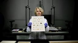 کشف کتاب مقدس ۱۹۰۰ ساله در اسرائیل