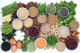 سهم پروتئین‌های گیاهی در اروپا افزایش پیدا می‌کند