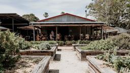 صدور هشدار کووید-19 برای بایرون بی در نیوساوت‌ولز