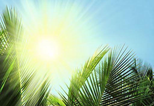 تاثیر آفتاب بر کاهش مرگ‌های ناشی از کرونا