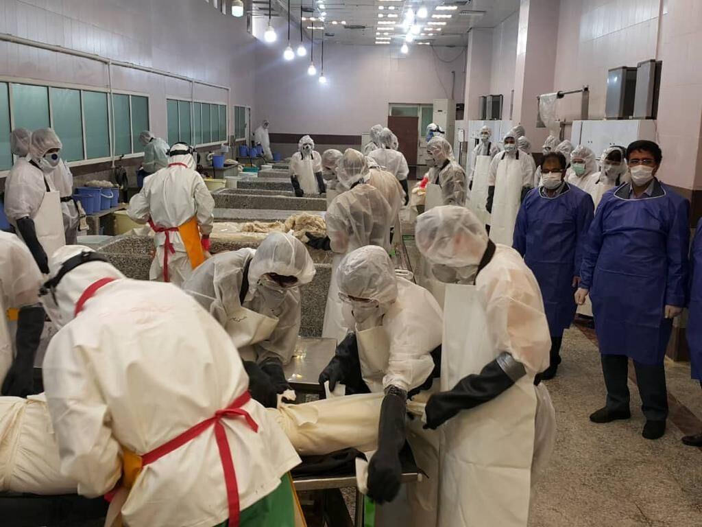 سردخانه‌های ایران جوابگوی تلفات کرونا نیست