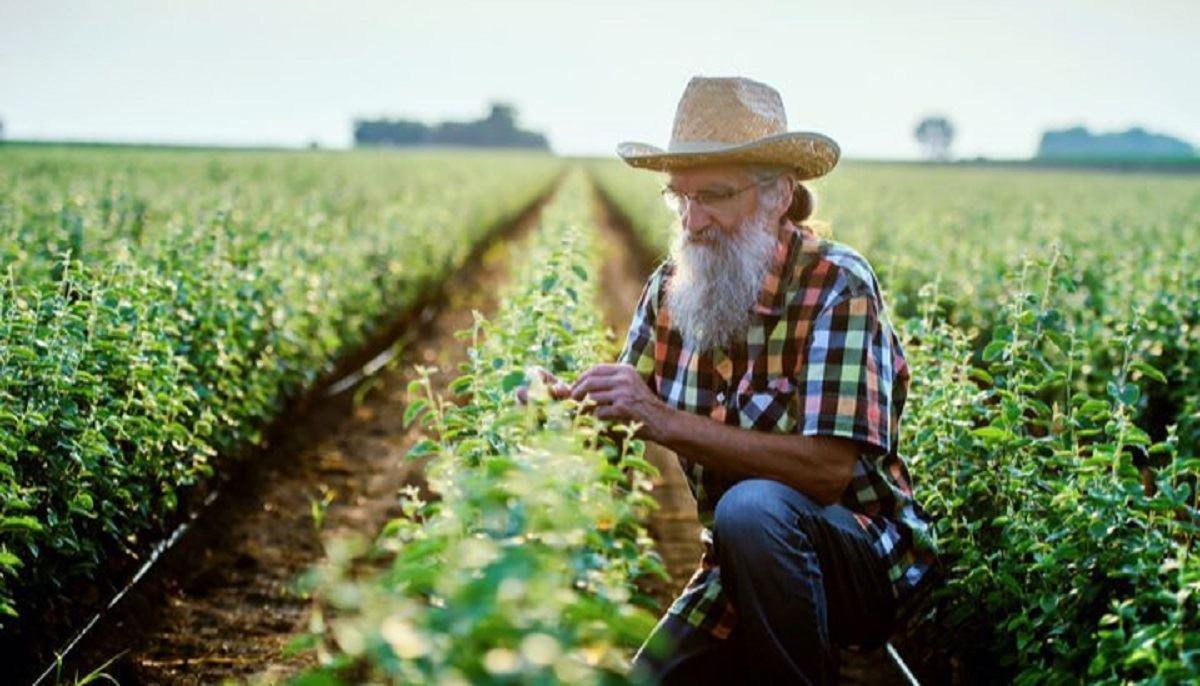 بریتانیا با پرداخت پول کشاورزان مسن را بازنشسته می‌کند
