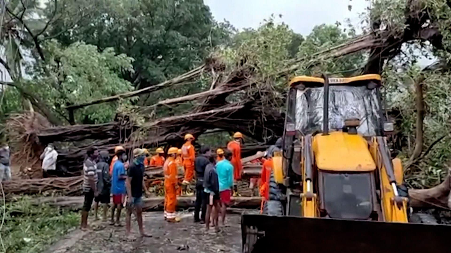 هند، گرفتار طوفان، کرونا و قارچ سیاه