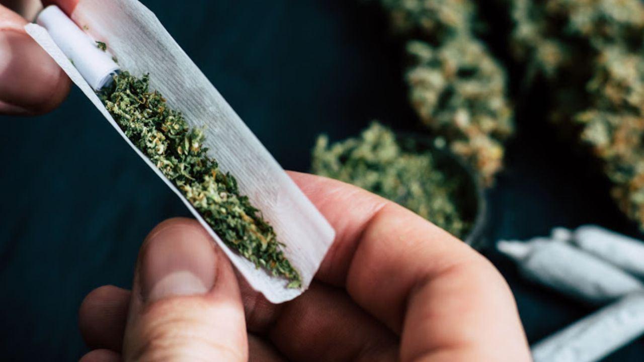 واکسن بزن، ماریجوانا بکش