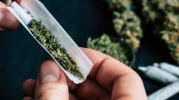 واکسن بزن، ماریجوانا بکش