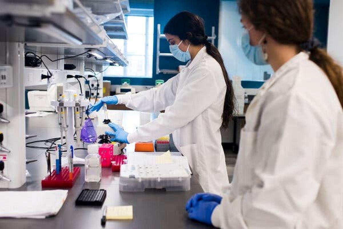 کشف داروی جدید درمان کرونا اما گران‌قیمت