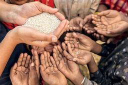 هر دقیقه، 11 نفر بر اثر گرسنگی و 7 نفر براثر کرونا در جهان جان می‌دهند