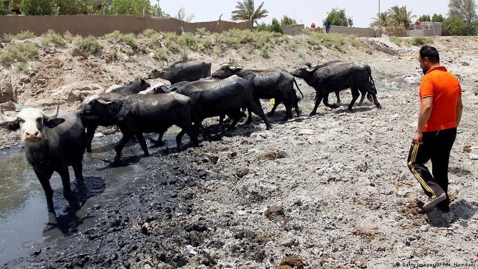 بی‌آبی ایران دامن عراق را گرفت