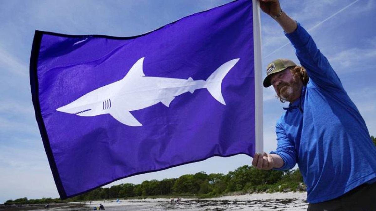 پرطرفدارد بودن مصرف و تجارت گوشت کوسه در اروپا