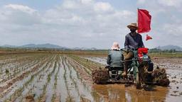 وضعیت وخیم در کره‌شمالی و حرکت به سمت قحطی