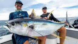 افزایش جمعیت ماهی‌های تن، پس از نزدیک شدن به مرز انقراض