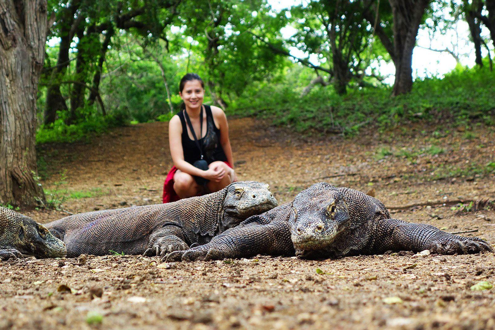 ۳۰درصد گونه‌های جانوری جهان در معرض انقراض