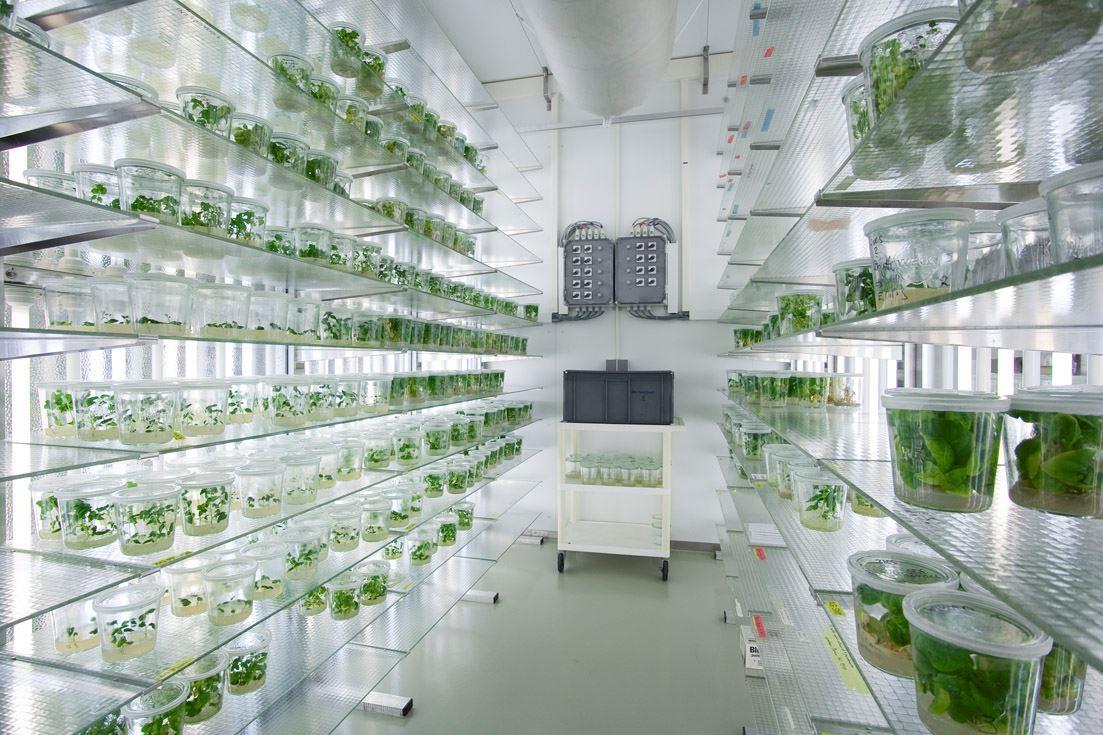 تشخیص نیاز گیاه به آب با یک سنسور