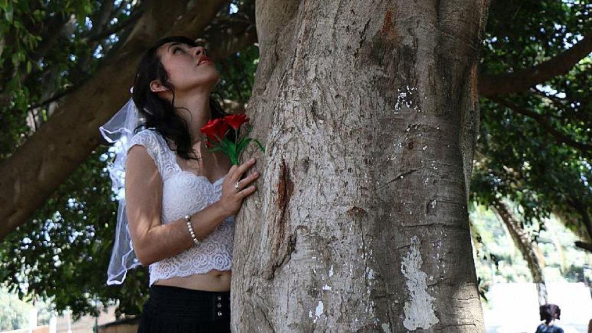 ازدواج 70 زن با درختان در اعتراض به جنگل‌زدایی در بریتانیا