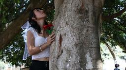 ازدواج 70 زن با درختان در اعتراض به جنگل‌زدایی در بریتانیا