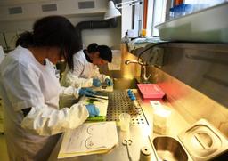 آسترازنکا: داروی جدید سرطان پستان ۷۲ درصد خطر مرگ را کاهش می‌دهد