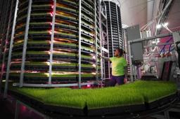 بزرگ‌ترین مزرعه عمودی جهان در بریتانیا ساخته می‌شود