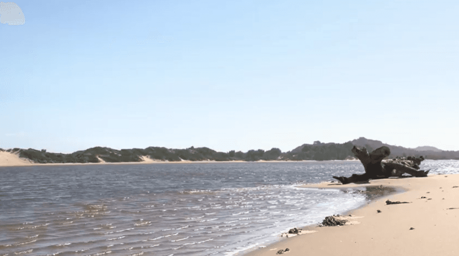 گردشگری استرالیا/ملبورن ..ایالت ویکتوریا / سواحل صخره ای کیپ کنرن ( Cape Conran )