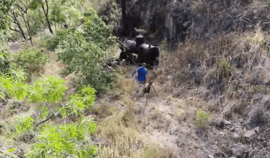 گردشگری استرالیا/ملبورن(شهرEagle Point)...ایالت ویکتوریا / پارک ملی میچل رود ( Mitchell River  )