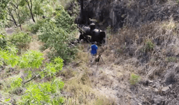 گردشگری استرالیا/ملبورن(شهرEagle Point)...ایالت ویکتوریا / پارک ملی میچل رود ( Mitchell River  )